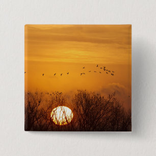 Sandhill cranes silhouetted aginst rising sun 15 cm square badge