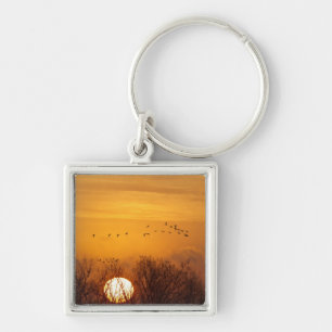 Sandhill cranes silhouetted aginst rising sun key ring