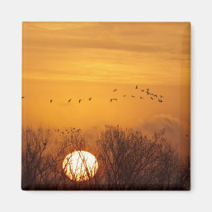Sandhill cranes silhouetted aginst rising sun magnet