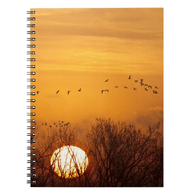 Sandhill cranes silhouetted aginst rising sun notebook (Front)