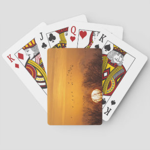 Sandhill cranes silhouetted aginst rising sun playing cards