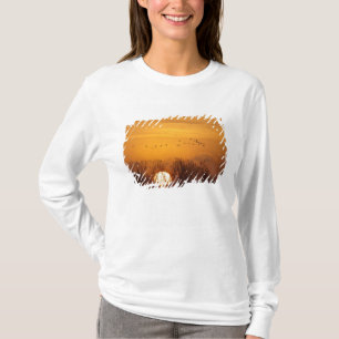 Sandhill cranes silhouetted aginst rising sun T-Shirt