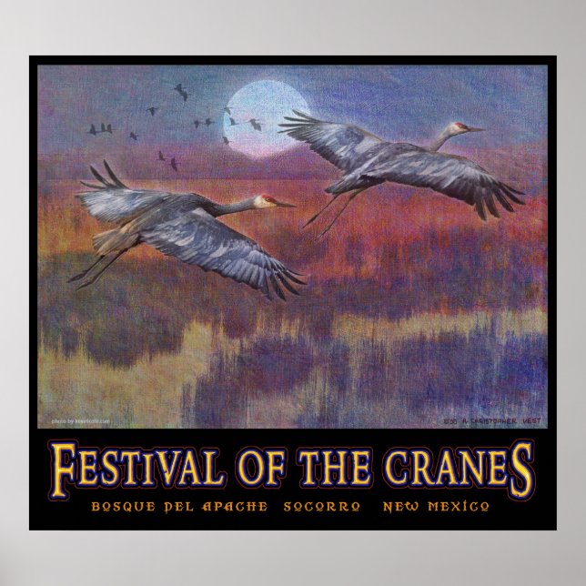 sandhill festival for november LARGE Poster (Front)