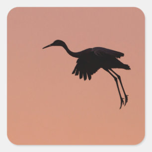 Sandhill silhouette on a pink sunset sky square sticker