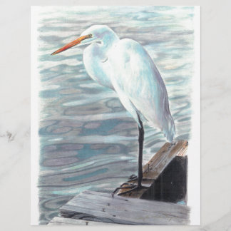 Sandhilll crane in water.