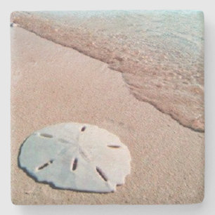 Sandollar Beach Limestone Stone Coaster