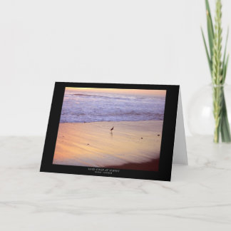 Sandpiper at Sunset: Ventura Beach Card