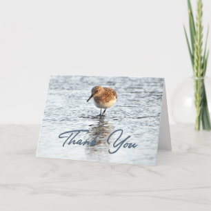Sandpiper Beach Photo Thank You Card