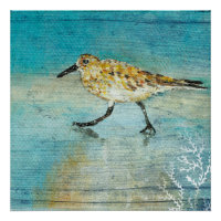 Sandpiper Beach Shorebird Weathered Art Print