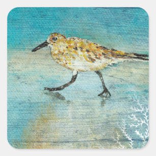 Sandpiper Beach Shorebird Weathered Artwork Square Sticker