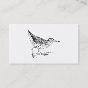 Sandpiper Bird Art Business Card