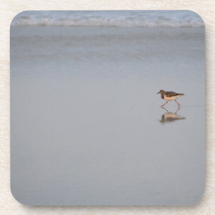 Sandpiper Bird Beach Wildlife Nature Photograph Coaster