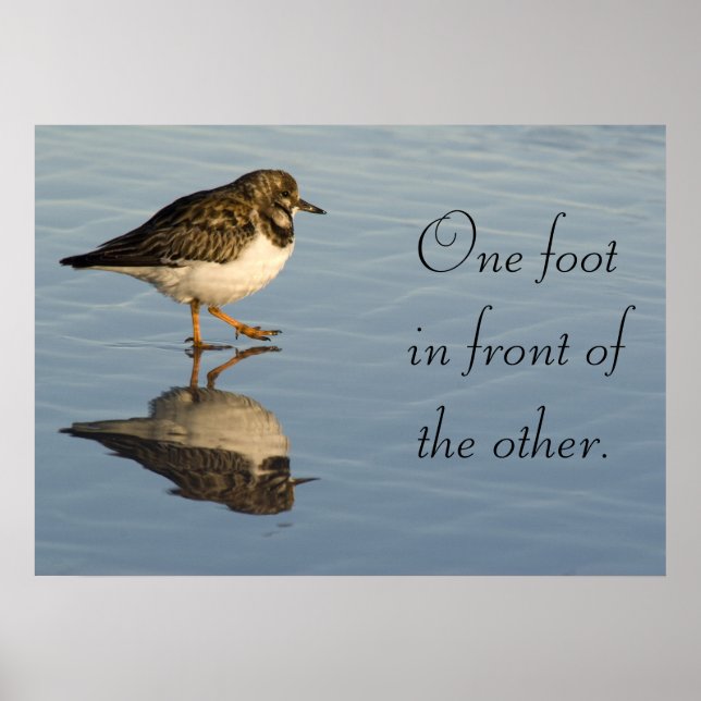 Sandpiper bird motivational Poster (Front)
