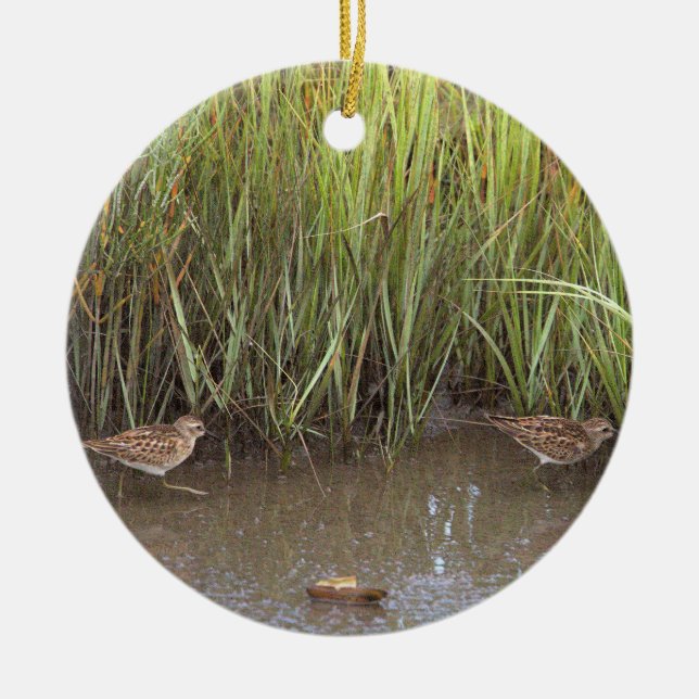 Sandpiper Bird Photo Ornament  (Front)