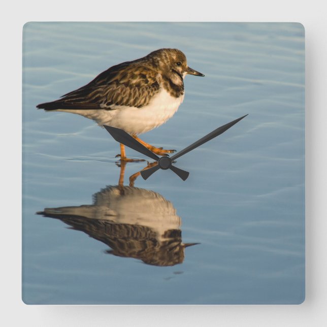 Sandpiper Bird Photo Reflection Ocean Clock (Front)