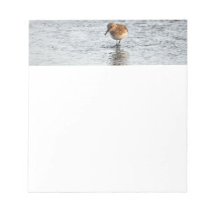 Sandpiper Bird Photo Stationery Paper Notepad