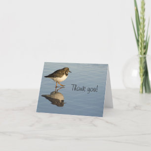 Sandpiper Bird Thank You Greeting Card