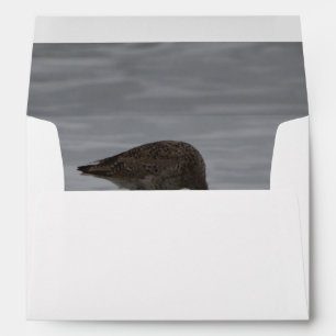 Sandpiper Bows Envelope