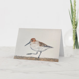 Sandpiper Folded Note Card