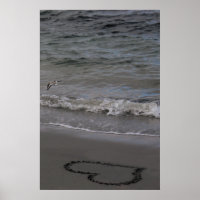 Sandpiper in Love