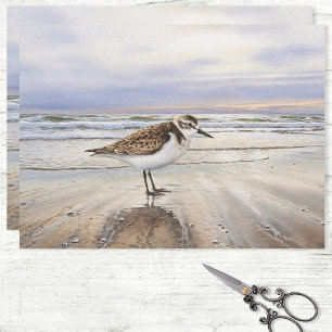 Sandpiper on the Beach Bird Art Decoupage Tissue Paper