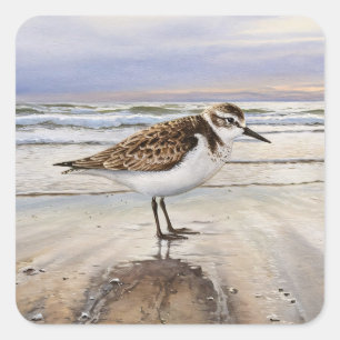 Sandpiper on the Beach Bird Art Square Sticker
