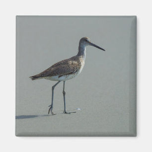 Sandpiper Pose Magnet