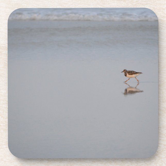 Sandpiper Running Along The Beach Coaster (Front)