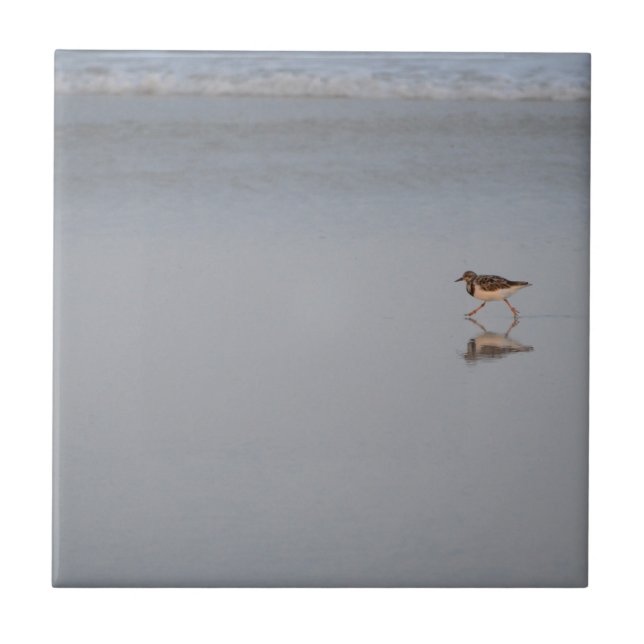 Sandpiper Running Along The Beach Tile (Front)