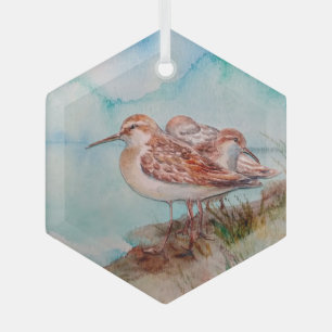 Sandpiper Shore Bird Ocean Sea  Watercolor Art  Glass Tree Decoration