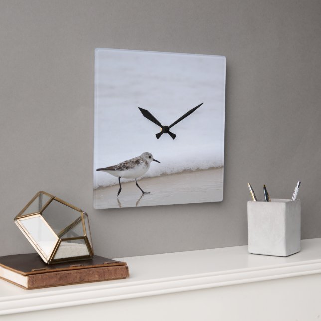 Sandpiper Shorebird Beach House Square Wall Clock (Office)