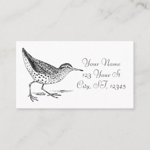 Sandpiper Shorebird Thunder_Cove  Business Card
