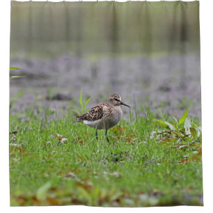 Sandpiper Shower Curtain