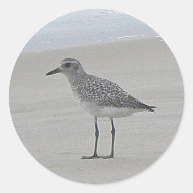 Sandpiper Stickers (Front)