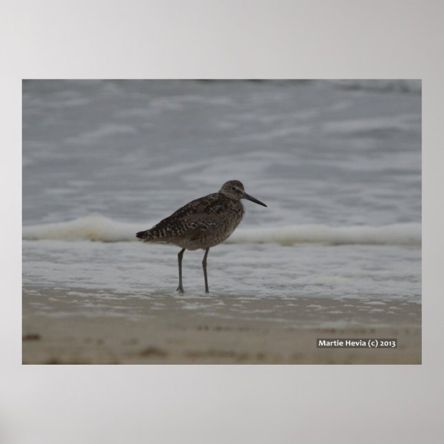 Sandpiper V Poster (Front)