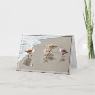 Sandpipers at the Shoreline Card