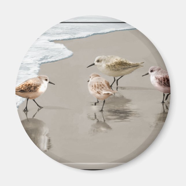 Sandpipers at the Shoreline Magnet (Front)