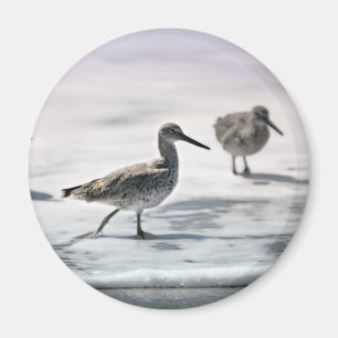 Sandpipers Magnet