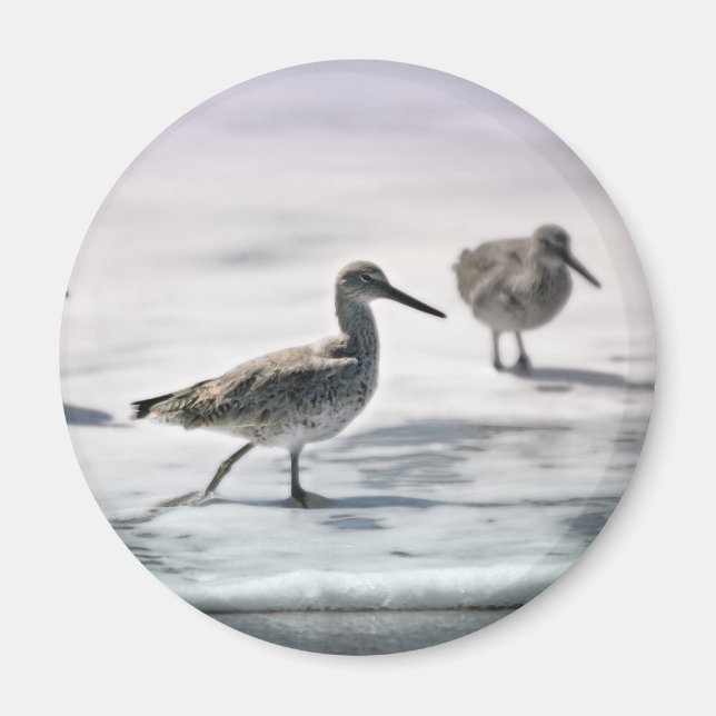 Sandpipers Magnet (Front)