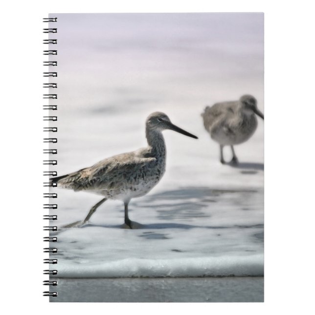 Sandpipers Notebook (Front)