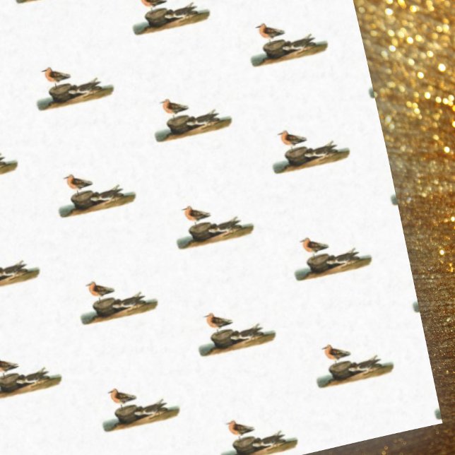 Sandpipers on Beach Drawing - Vintage Illustration Tissue Paper (Creator Uploaded)