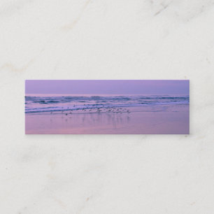 Sandpipers on the Beach at Sunrise Contact Cards