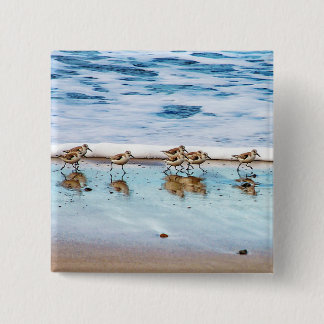 Sandpipers Running Along The Beach 15 Cm Square Badge