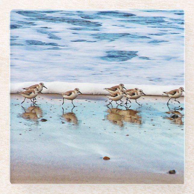 Sandpipers Running Along The Beach Glass Coaster (Front)