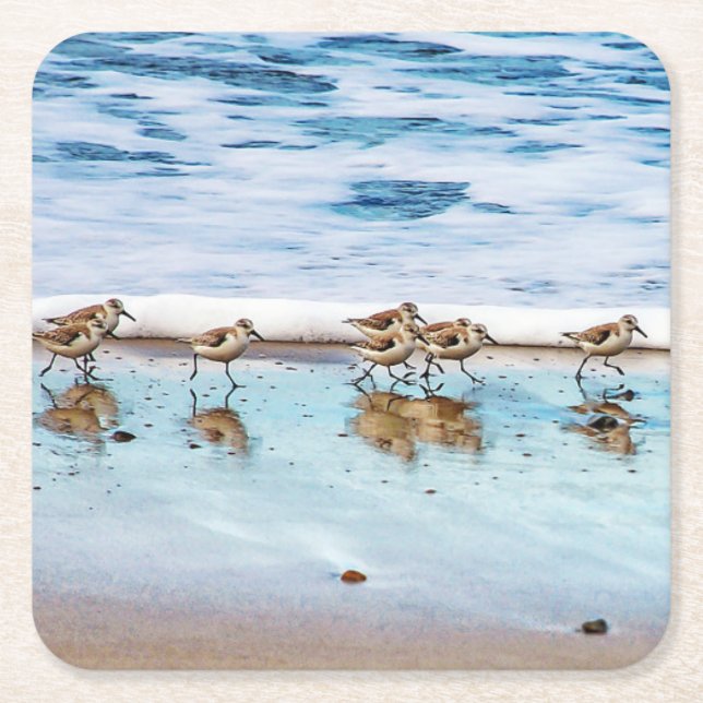 Sandpipers Running Along The Beach Square Paper Coaster (Front)