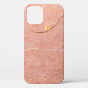 Sandstone iPhone 12 Case