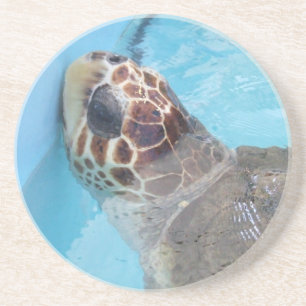 Sandstone Coaster
