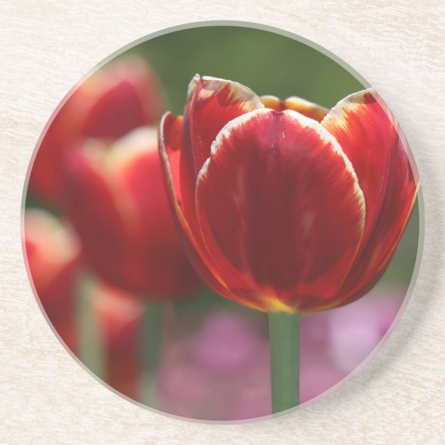 Sandstone drink coaster (Front)