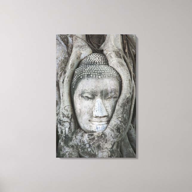 Sandstone head of Buddha surrounded by tree Canvas Print (Front)