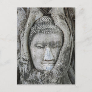 Sandstone head of Buddha surrounded by tree Postcard